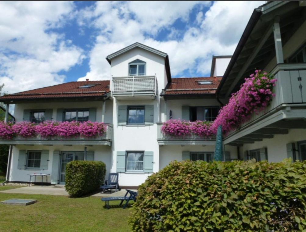 Ferienwohnanlage Bruennstein Wohnung 54 Oberaudorf Kültér fotó